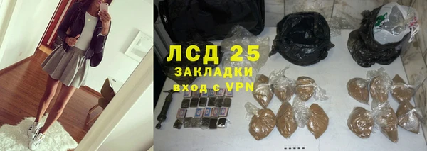 дживик Новозыбков