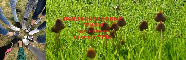 винт Новокубанск