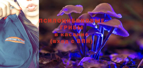 бутират Баксан
