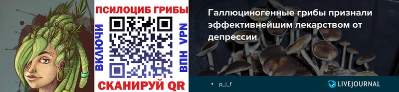 hydra как войти  Черемхово  Галлюциногенные грибы Magic Shrooms 